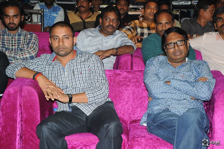 Hora-Hori-Movie-Audio-Launch